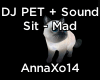 DJ Pet Kitten+Sound