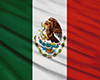 Bandera Mexico de mano