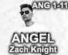 ANGEL - Zack Knight