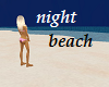 Night Sandy Beach 2