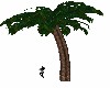 MDF Palm Tree