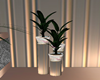 Paris Pool Plants