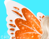 C~Ornge Btrfly Wings Ani