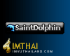 iTag* SaintDolphin