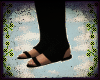 👡 Gladiator Sandals