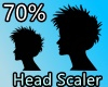 70% HEAD SCALER