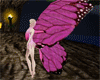 (IP)Pink Butterfly Wings
