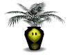 ~tat~smiley vase w/plant
