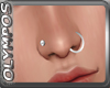 *O* Nose Piercings