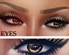 B. Golden Eyes L