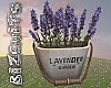 Vintage Cottage Lavender