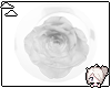 Yun| Rose Globe White
