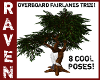 OVERBOARD FAIRLANE TREE!