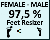 Feet Scaler 97,5%