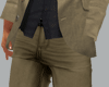 Dark beige pant