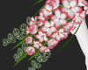 Hibiscus + Roses + Pose 