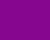 Purple Kitty Arm Warmers