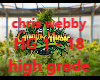 CHIRS WEBBY HIGH GRADE