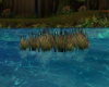1607   Water Grass