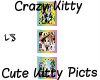 Crazy Kitty Cute Picts