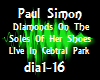 Music Paul Simon Live P1