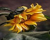 Sunflower Art 5