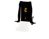 Moonlight Window