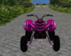 Pink 4 Wheeler
