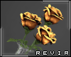 R║ Gold Roses Vase