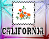 California State Flower