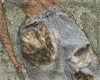 patch