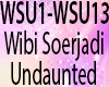Wibi Soerjadi -Undaunted