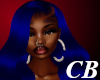 CB- Winter Navy