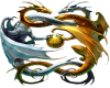 Entwined Dragons