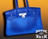 *HS My Lux Bag BU