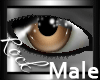 ROCK Lurer Eyes M Brown