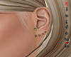 Black gold Stud earrings