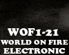 ELECTRONIC-WORLD ON FIRE