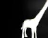 Gold Giraffe