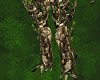 [Az] Legs Of Tree Demon