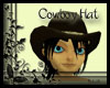 CowboyHat with Hair