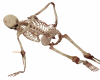 Skeleton Group Dance 6sp