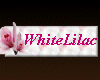 WhiteLilac Sticker
