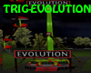 EVOLUTION CARNIVAL RIDE