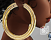 DH. Large Gold Hoops