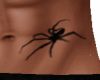 Tatto Aranha