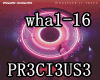 Imagine Dragon/Whatever