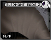 ~DC) Elephant Ears v2