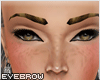[V4NY] N4Ture Eyebrow #1