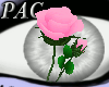 *PAC* Pink Table Roses